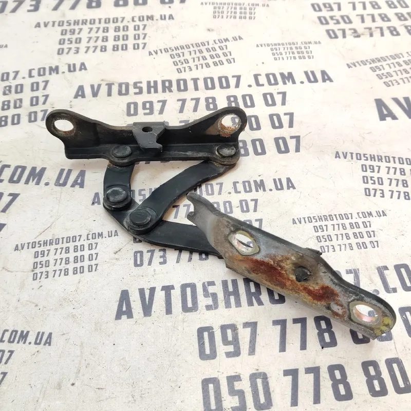 Петля капоту Hyundai Sonata IV (98-05) 2.0 Бензин Права
