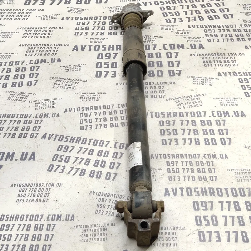 Амортизатор VW Bora (98-05) 1.9 TDI задній OEM 556273