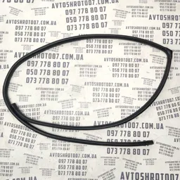 Ущільнювач Hyundai Sonata IV (98-05) 2.0 зад. пр. OEM 040214
