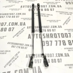 Амортизатор багажника Mazda Premacy (99-05) 1.8 Бензин фото 3