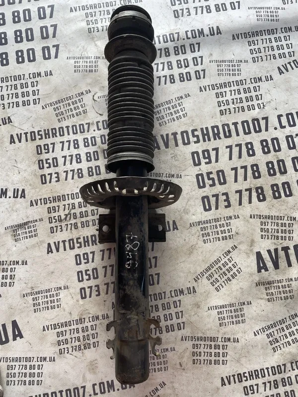 Амортизатор передній Skoda Rapid (12-19) OEM 339763