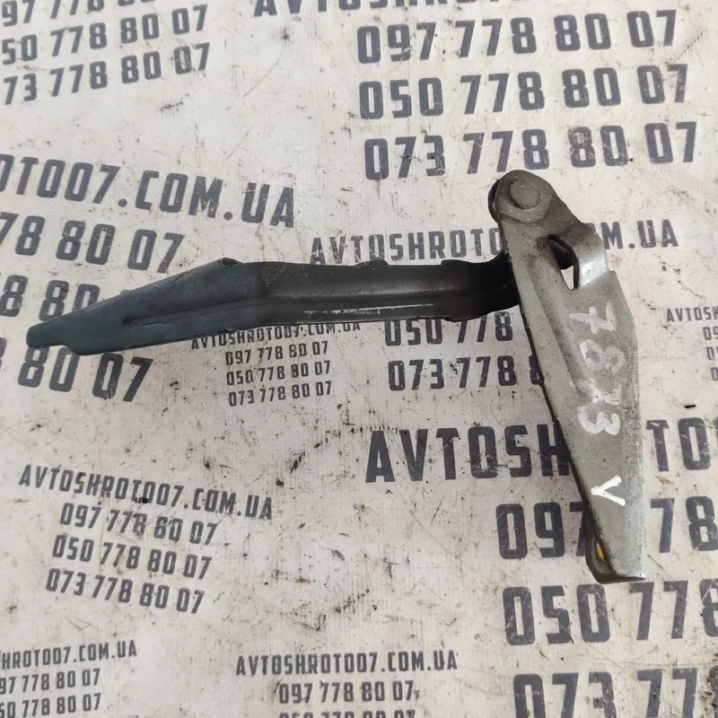 Петля капота Ford Focus MK1 (98-04) ліва OEM XS4116801AF