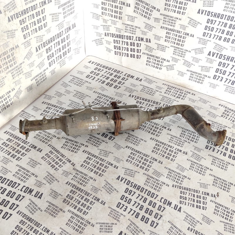 Глушник Citroen C8 (02-14) OEM 197603