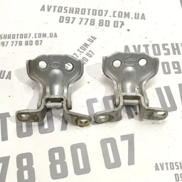 Дверна завіса Kia Sorento 1 (02-09) 2.5 CRDi задня ліва