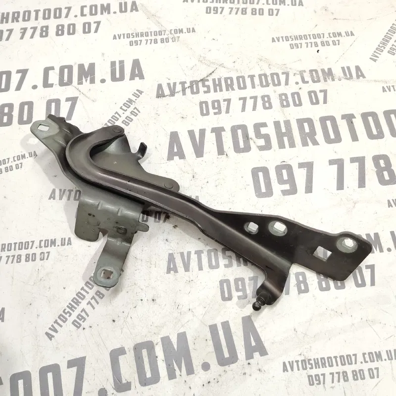 Петля капоту Renault Scenic 3 09-16 1.6D ліва 654010004R