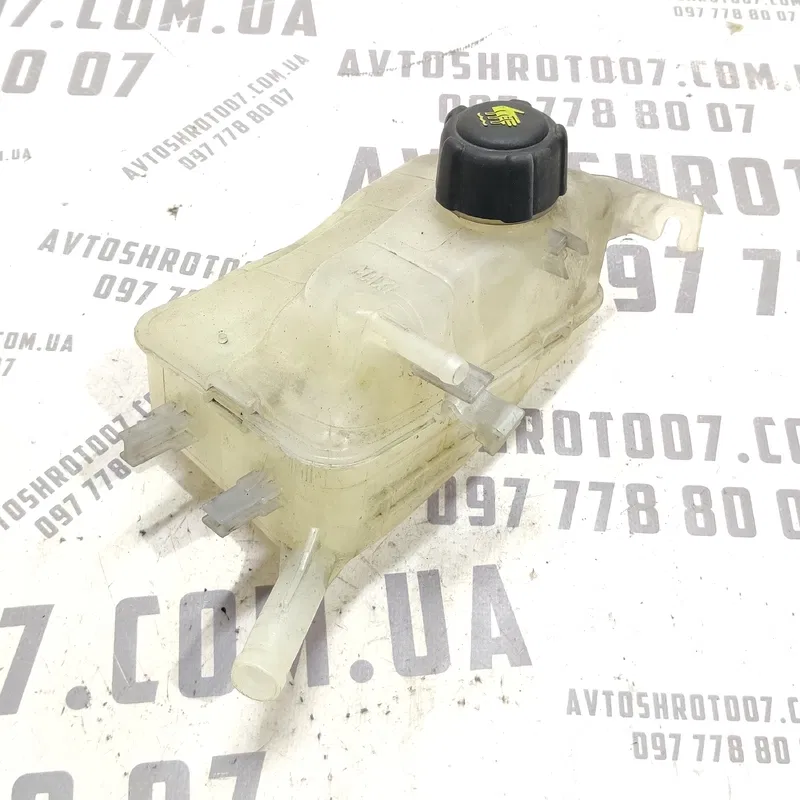 Бачок розшир. Renault Scenic 3 09-16 1.6D OEM 217100005r
