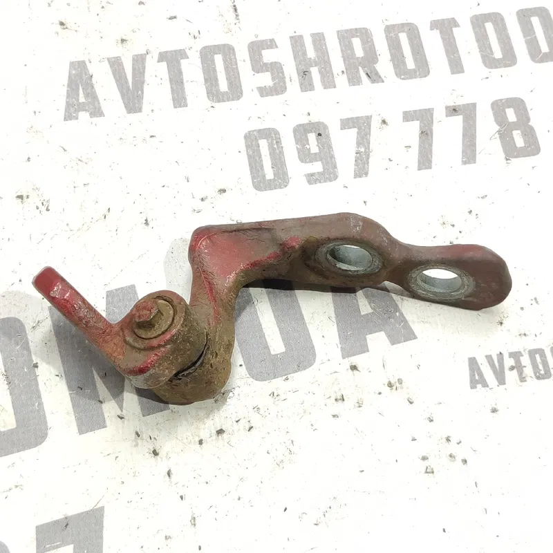 Дверна завіса пер. права нижня Ford Focus MK2 (04-11) 1.6D